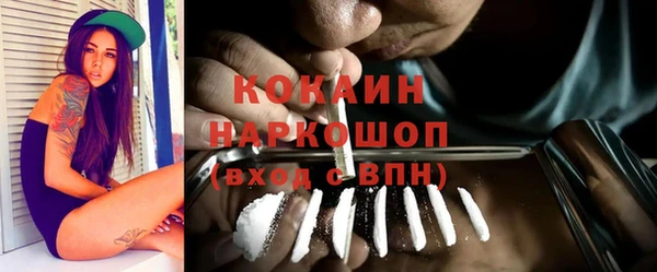 эйфоретик Гусев
