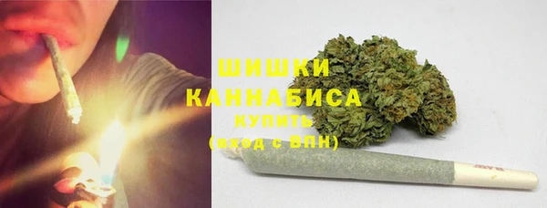 эйфоретик Гусев
