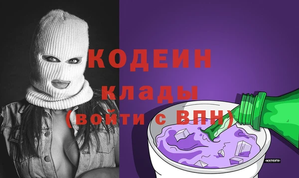шишки Горно-Алтайск