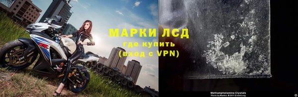 эйфоретик Гусев